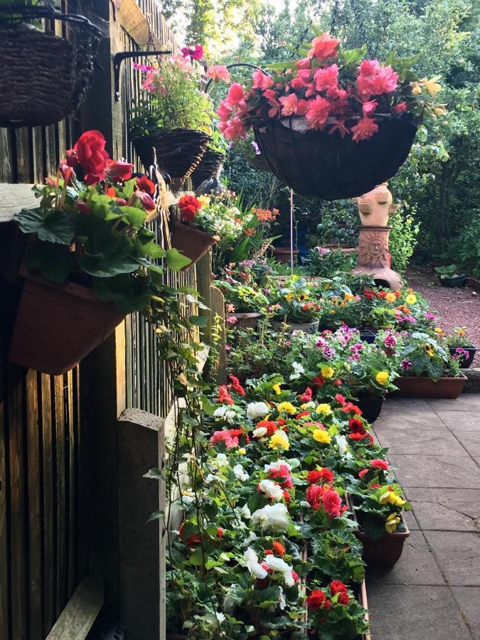 38 Whitehall Road Harrow on the Hill ภายนอก รูปภาพ