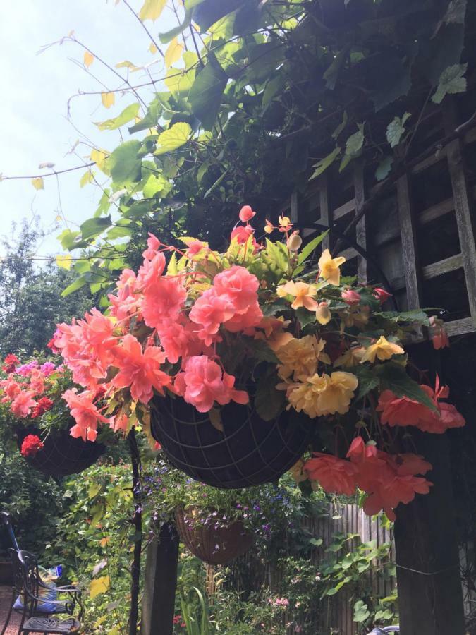 38 Whitehall Road Harrow on the Hill ภายนอก รูปภาพ